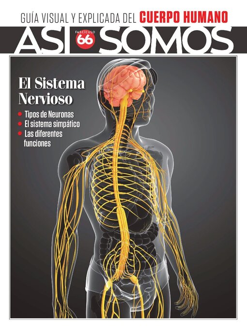 Cover image for Así Somos - El cuerpo humano